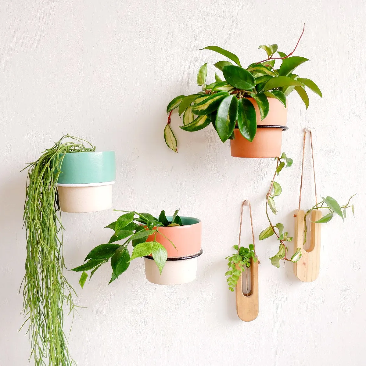 Ravi Wall Pot Holder - Black