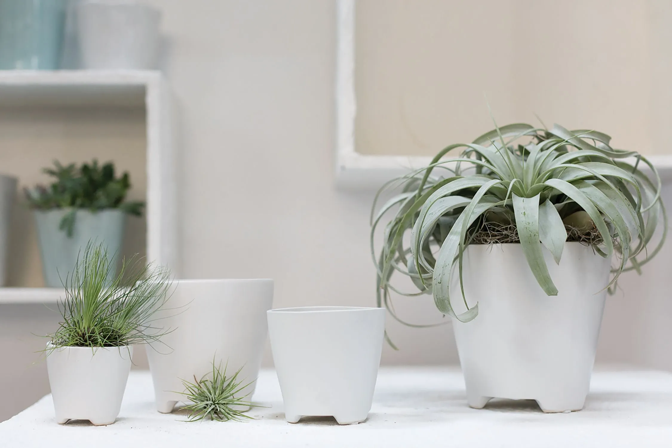 Ruth Pot | White (Mini)