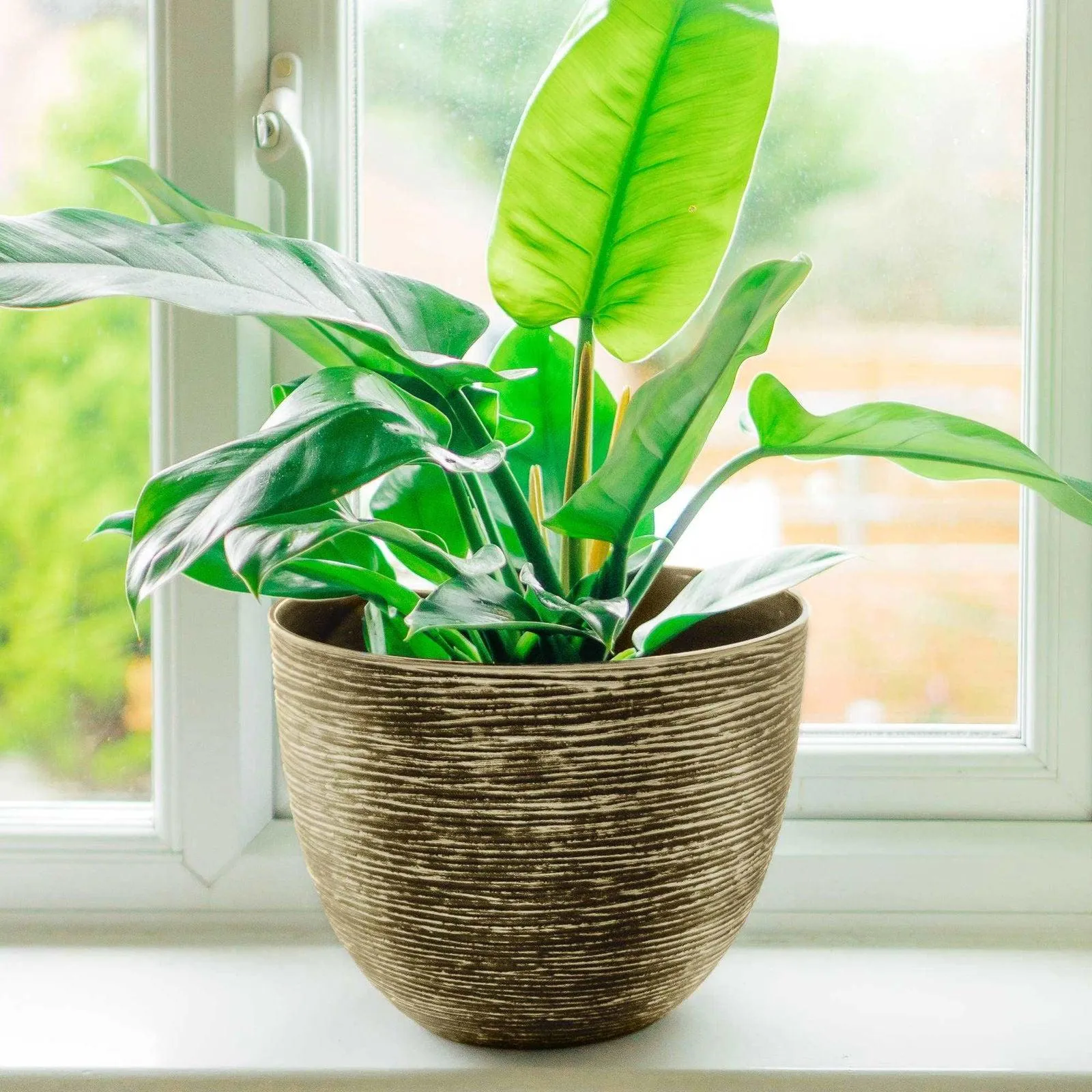 SG Traders ™ Large Round Plastic Spiral Garden Plant Pot