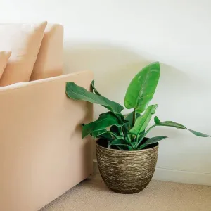 SG Traders ™ Large Round Plastic Spiral Garden Plant Pot