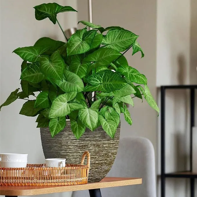 SG Traders ™ Large Round Plastic Spiral Garden Plant Pot