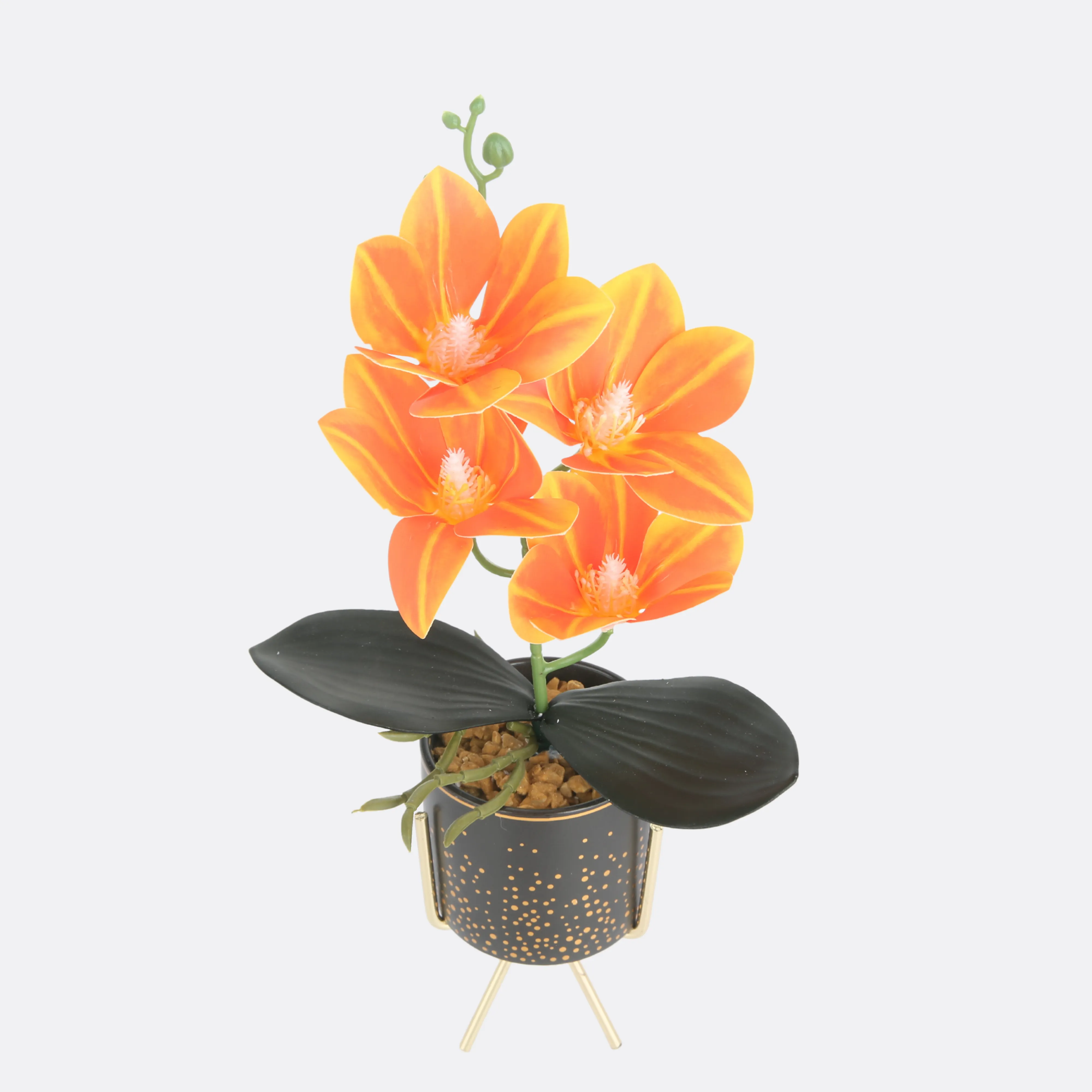 Tawny Planter In Pot ( 3 Pot Colors )