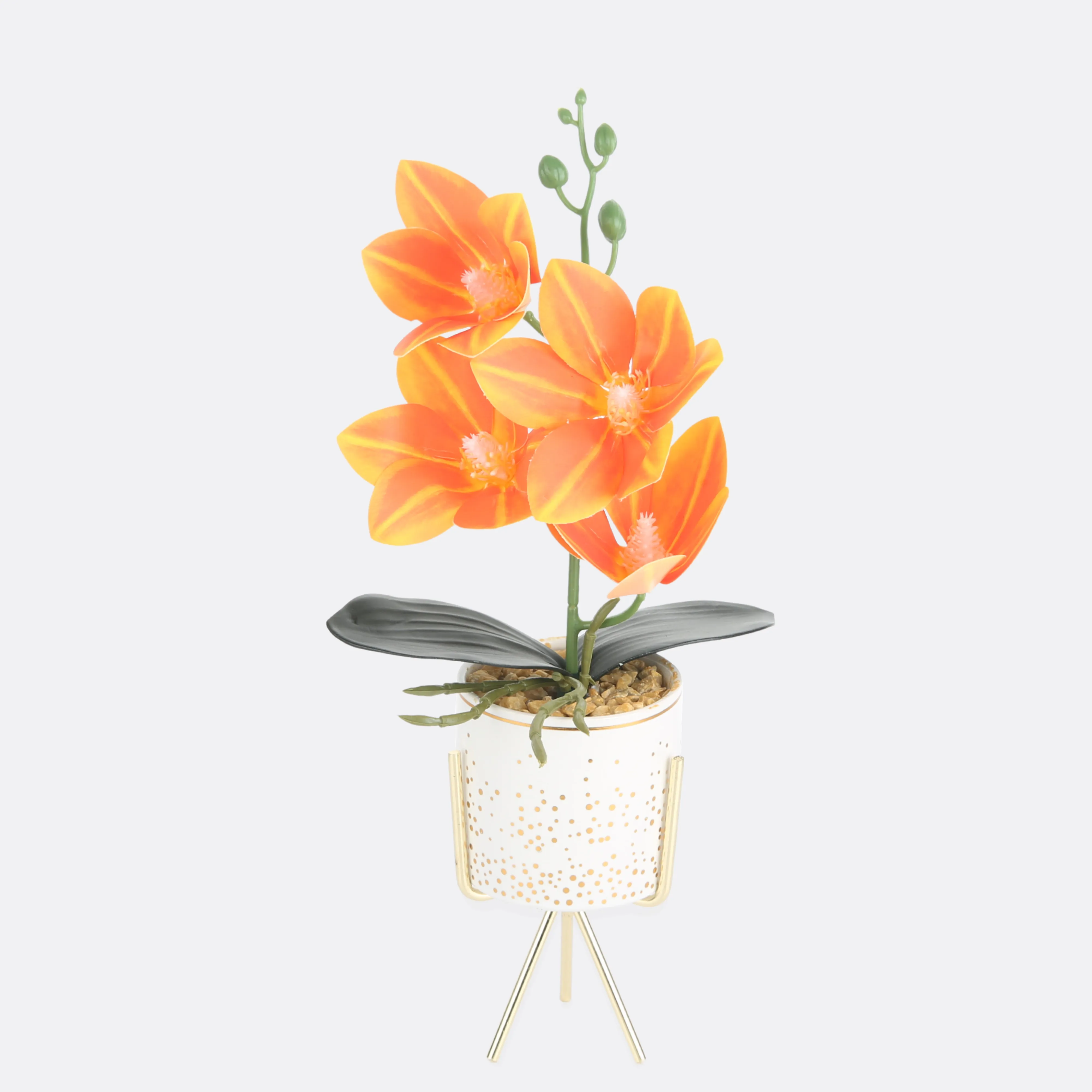 Tawny Planter In Pot ( 3 Pot Colors )