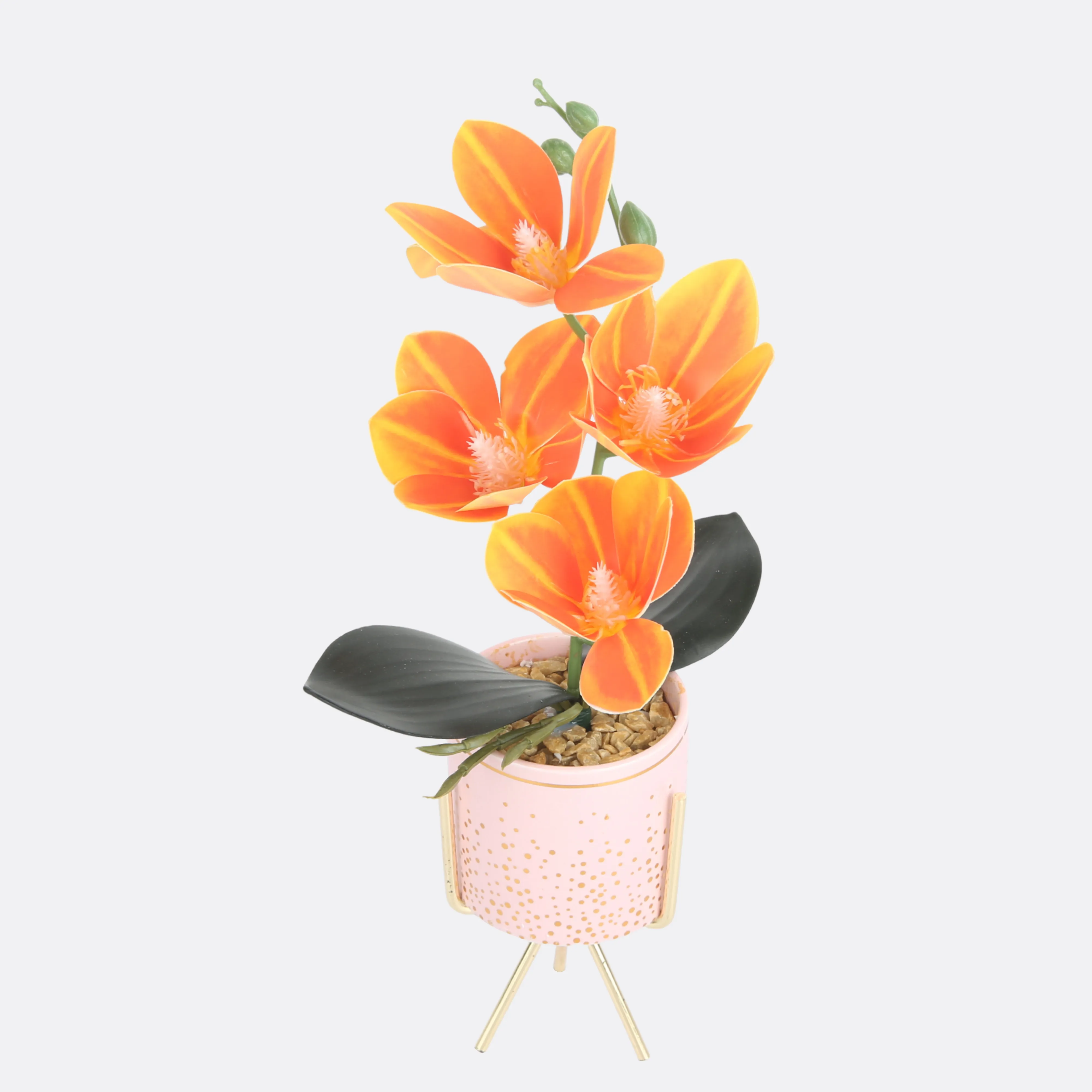 Tawny Planter In Pot ( 3 Pot Colors )