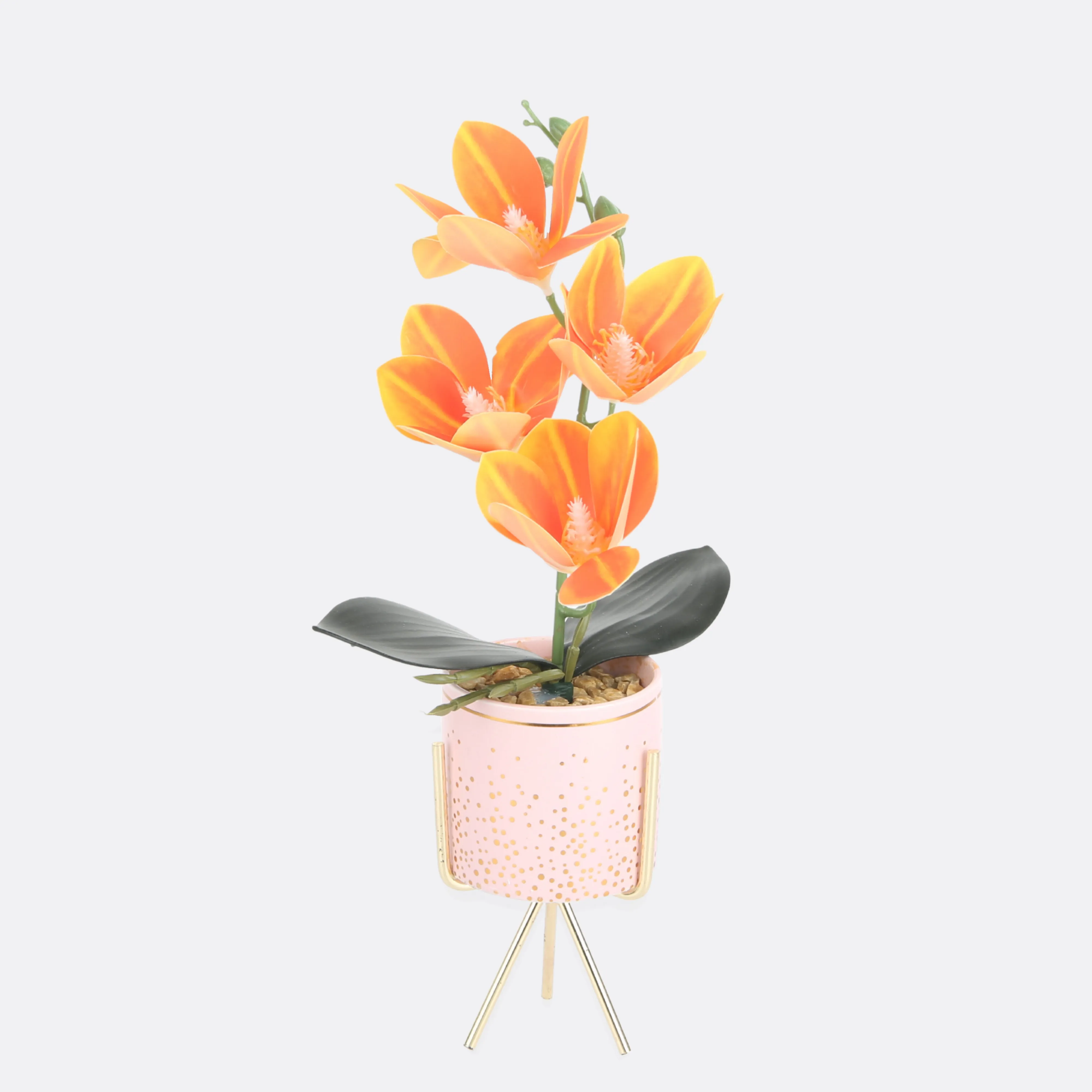 Tawny Planter In Pot ( 3 Pot Colors )
