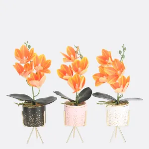 Tawny Planter In Pot ( 3 Pot Colors )