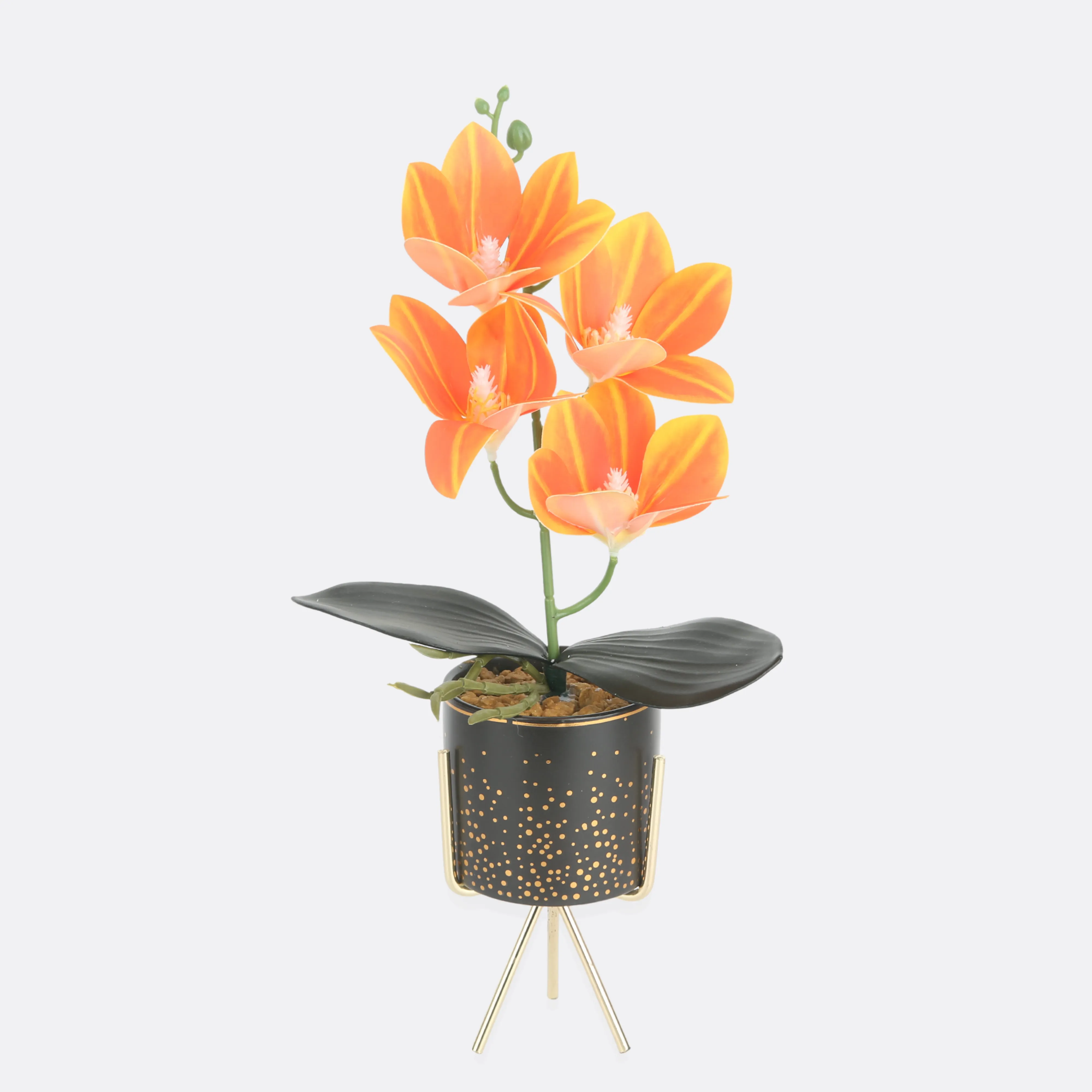 Tawny Planter In Pot ( 3 Pot Colors )