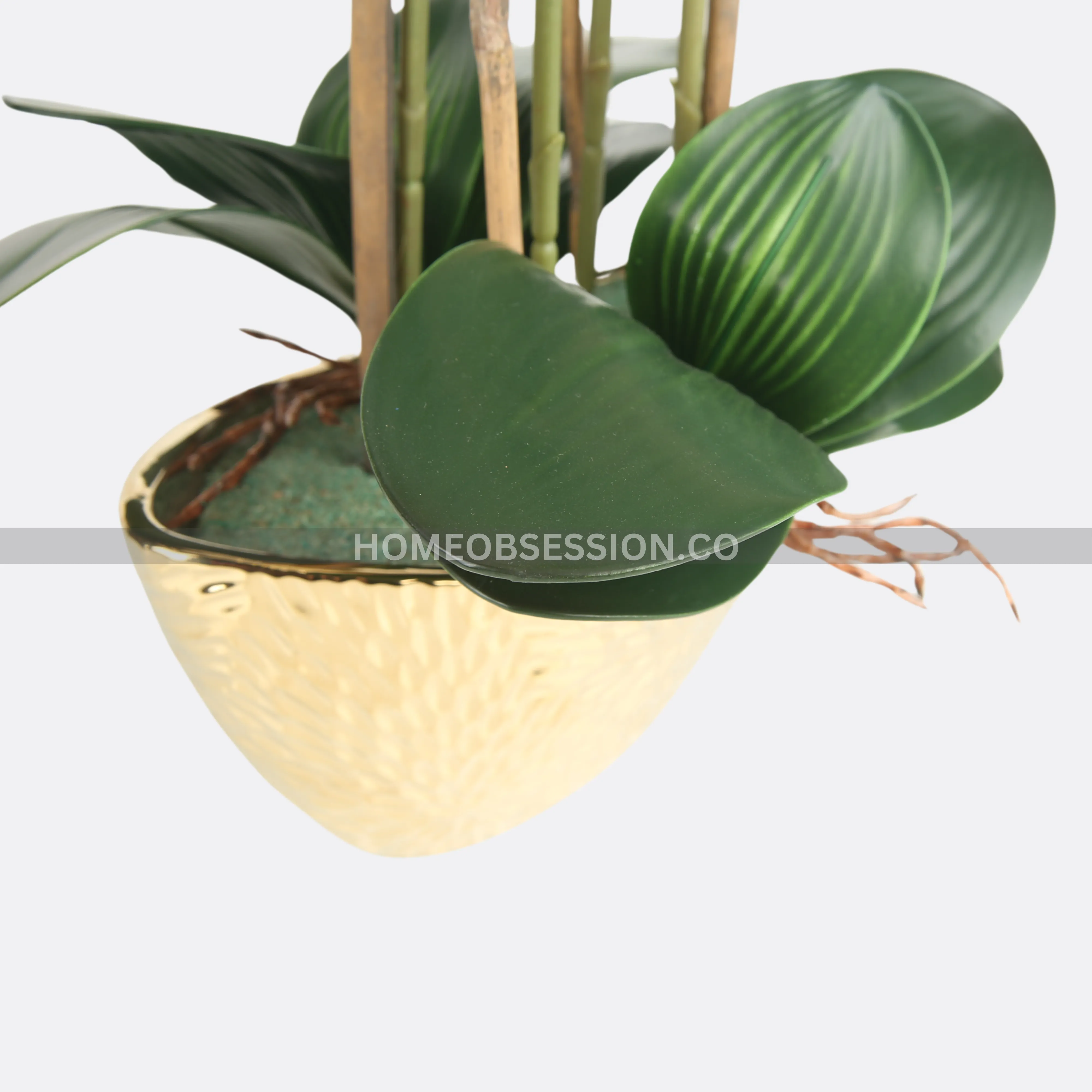 Thai Orchard Plant In Ceramic Bowl