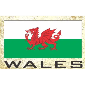 Wales Fridge Magnet